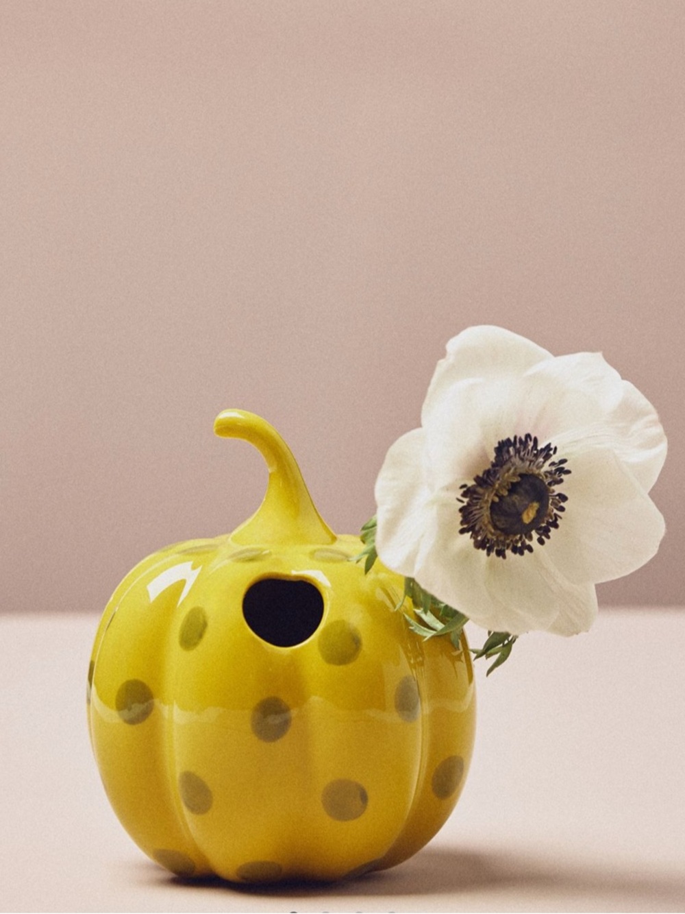 Anthropologie Stoneware Vase